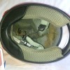 Inside_my_Helmet_Shoei_RF_108-V_vermelho_1_8